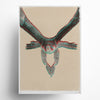 Focused peregrine falcon 3D anaglyph art print in red and blue vintage effect on cream background, bird of prey limited edition wall art with unique visual depth for modern home and office decor.