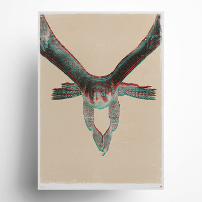 Focused peregrine falcon 3D anaglyph art print in red and blue vintage effect on cream background, bird of prey limited edition wall art with unique visual depth for modern home and office decor.